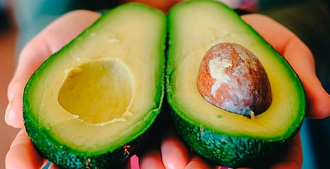 El 85% del aguacate michoacano de exportación ya está certificado como libre de deforestación: Secma