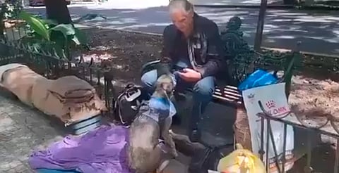 Captan a exestrella de Televisa viviendo en la calle con sus mascotas en la Condesa