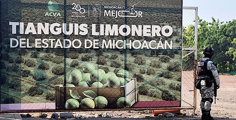 Gobierno de Michoacán, abierto al diálogo con limoneros
