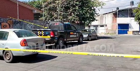 Hallan a cinco perritos muertos en banqueta de Morelia; acusan envenenamiento 