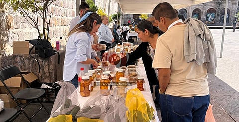 Expo Agro Morelia 2025 reúne productos elaborados por estudiantes  y brigadas de la DGETAyCM