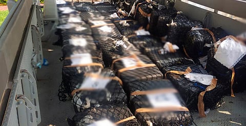 La acción fue encabezada por elementos de la Marina, en coordinación con Defensa, FGR, GN y SSPC