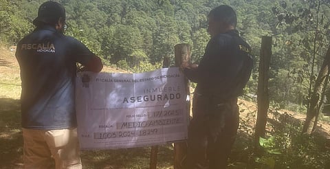 En cateo realizado en Madero, asegura Fiscalía General predio por delitos contra el ambiente