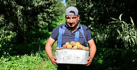 Michoacán, segundo lugar nacional en crecimiento económico según el Inegi