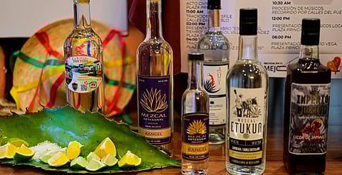 ¡Más de 20 mil tacos gratis! Regresa la Expo Feria del Mezcal y del Taco a Madero