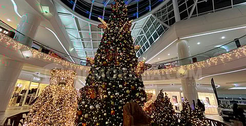 Espacio Las Américas recibe la Navidad con un mágico bosque de mariposas monarcas