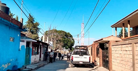 FGE abre investigación por hallazgo de caninos sin vida en Morelia