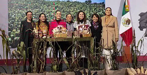 Gobierno de México presenta Plan Nacional para conservar y comercializar el maíz nativo
