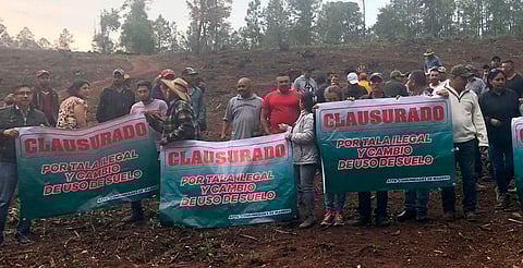Bajo amenaza, ambientalistas de Villa Madero