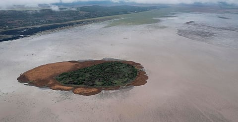 Cuitzeo, en espera de maquinaria para retirar maleza del lago