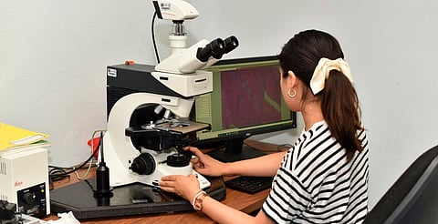 UMSNH abre convocatoria para su Maestría en Ecología Integrativa