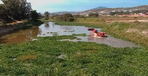 Gobierno de Michoacán avanza en la rehabilitación del Río Lerma en La Piedad