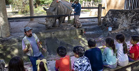 Zoológico de Morelia invita a Un Día en el Aula Viva