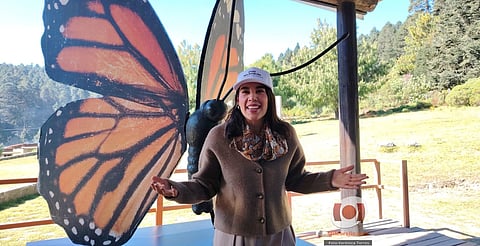 Destinará Sectur Federal 300 mdp en infraestructura turística