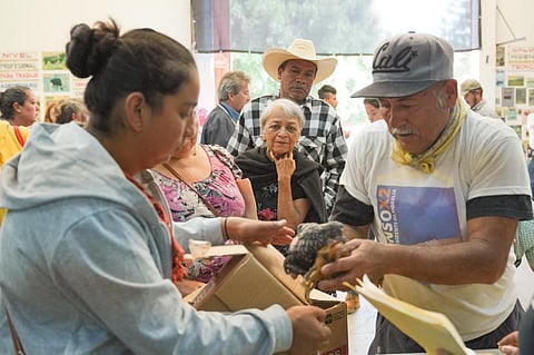 Agrosano ha entregado 150 mil aves e insumos para la soberanía alimentaria de 15 mil familias: Sader