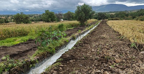 Conagua admite atraso de subsidios PEUA para el sector agrícola