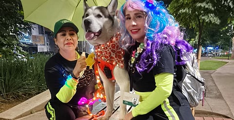 Habrá caminata navideña de perritos en Morelia