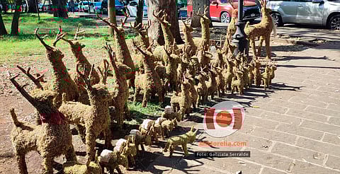 ¡Llega la magia navideña! Cofom alista Feria del Bosque con árboles, esferas y sabor michoacano