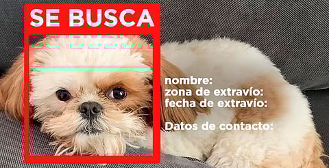 Será obligatoria su difusión en medios oficiales de los Centros de Atención Animal