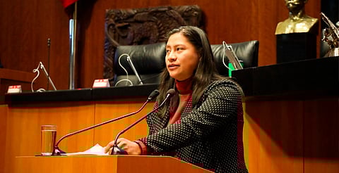 Senadora Celeste Ascencio propone cárcel a quien usurpe candidaturas de grupos prioritarios