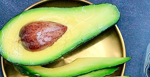 Sedeco prevé que aguacate de Michoacán obtendrá indicación geográfica en 2026 