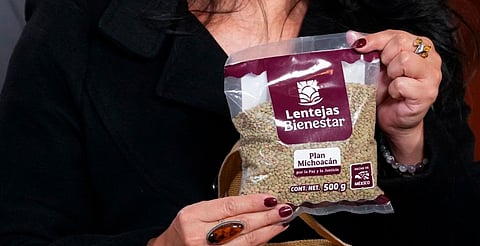 Se busca posicionar a Michoacán como referente nacional del cultivo