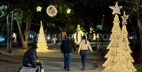 ¿Sin plan el domingo? Lánzate a la posada en el Boulevard García de León de Morelia