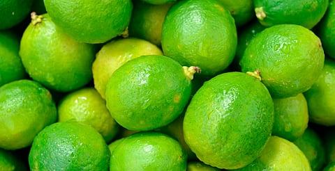 Plan Michoacán destina 720 mdp para apoyo a productores de cítricos en Tierra Caliente: Sader