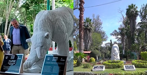 Zoológico de Morelia estrena escultura en honor a Yupik y nueva imagen en su entrada