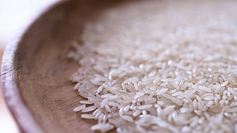 Michoacán entre los estados beneficiados por apoyo a productores de arroz