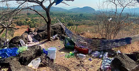 SSP desactiva 15 artefactos explosivos y destruye campamento clandestino en Apatzingán