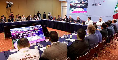 Aguacate de Michoacán contará con certificado laboral para exportación