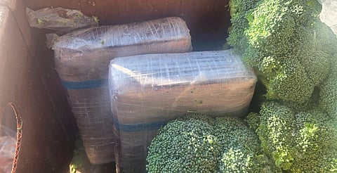 Detienen a mexicano con droga oculta en carga de brócoli al intentar cruzar a EU