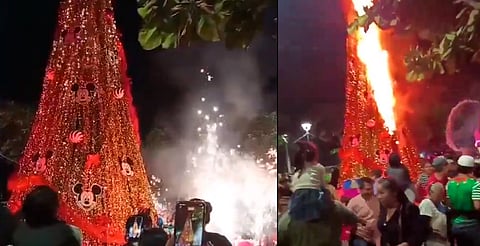 Pirotecnia provoca incendio en árbol de navidad de Nayarit durante la celebración [VIDEO]