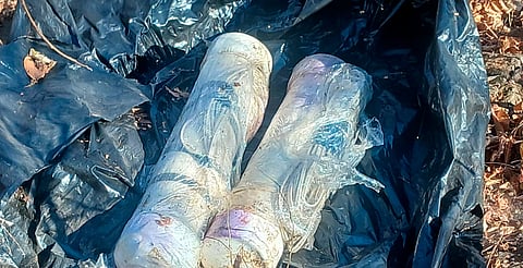 SSP desactiva dos artefactos explosivos en Buenavista