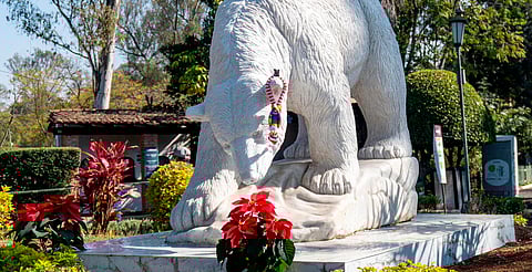 Toma nota: Zoo de Morelia anuncia horarios especiales de fin de año