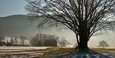 Este domingo llega el día más corto del año: el solsticio de invierno 2025