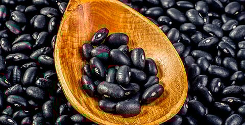 Salario mínimo rendirá más en 2026: hasta 7.1 kg de frijol por día