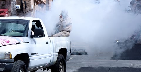 SSM llama a no bajar la guardia contra el dengue en invierno