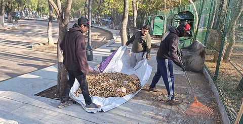 Gobierno de Morelia atiende y embellece Bosque Cuauhtémoc
