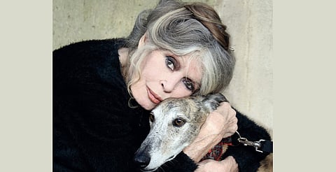Murió Brigitte Bardot, ícono del cine y defensora de los animales