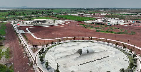 ¿Ya viste los flamencos? Sheinbaum invita a conocer el Parque Lago de Texcoco