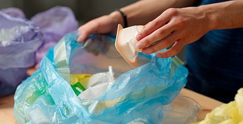 Diputado del PVEM propone prohibir plásticos de un solo uso en oficinas y eventos públicos