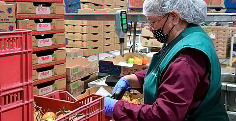 Michoacán rebasa meta de empleo formal y supera los 500 mil registros