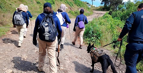 ‘Buscando tus Pasos’ localiza a 7 desaparecidos sin vida en Michoacán durante 2025