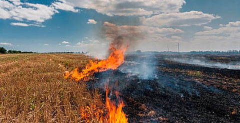 Autoridades promueven alternativas a la quema de parcelas para proteger suelos y salud