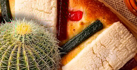 Cada Rosca sin acitrón ayuda a preservar una especie en peligro