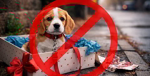 Piden no regalar mascotas en Día de Reyes por riesgo de abandono