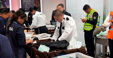 Incautan tortugas, ranas y biznagas en punto fronterizo; iban rumbo a Asia