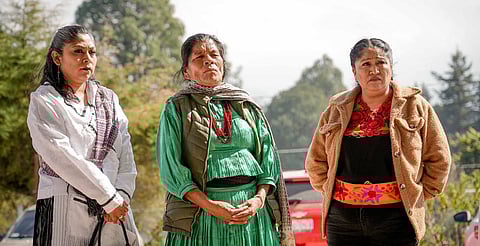 Como parte del Plan Michoacán, Tejedoras de la Patria construyen soluciones colectivas para sus territorios